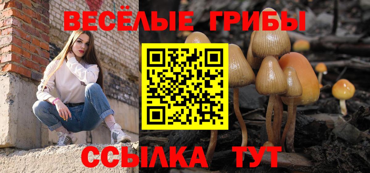 Мариинск  Псилоцибиновые грибы мухоморы  Вход с VPN 